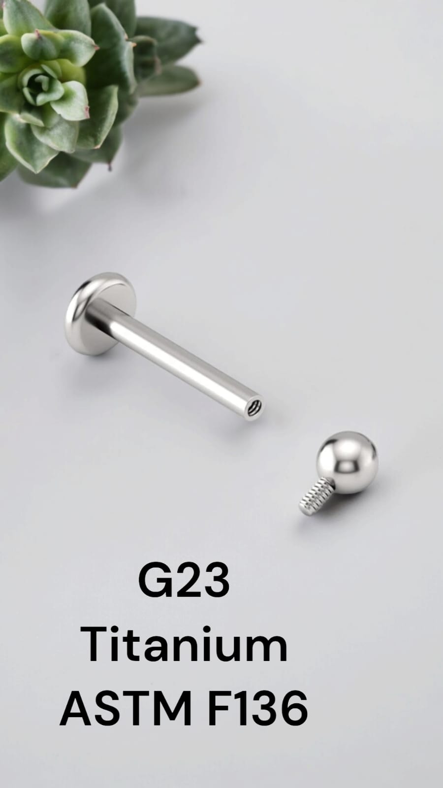 Labret Titânio Bolinha 1.2 X 6mm x 3mm