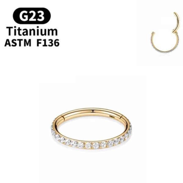Argola TITÂNIO com ZIRCONIAS 1.2 X 6MM