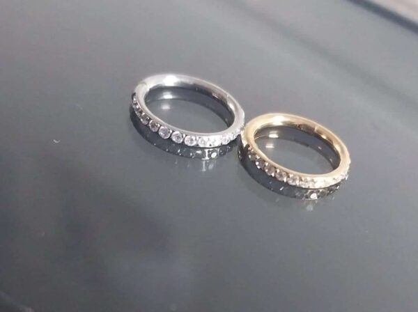 Argola Segmento Articulado Titânio Zircônia  1.2x8MM - Imagem 2