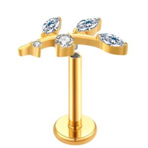 Labret Rosca Interna Titânio Ramo Zircônias