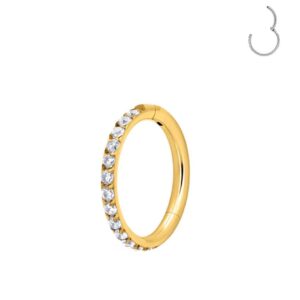 Argola Aço Zirconias 1.2 x 10mm Dourado
