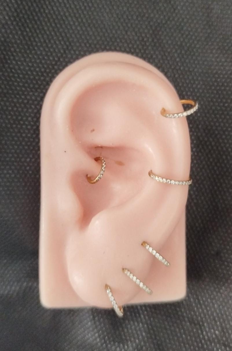 Argola Segmento Articulado Aço Zirconias 1.2 x 6mm Dourado